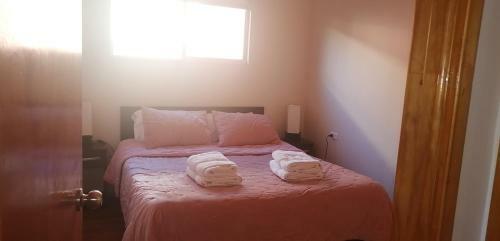 Apartamento Caba�a Full Equipada En Coyhaique