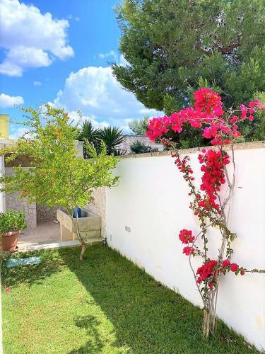 Villa Poggio Angica