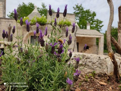 Trullo Pietro