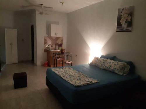 Apartamento Adorable Monoambiente En Asunci�n