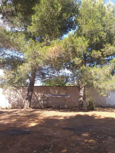 Villa Alfea