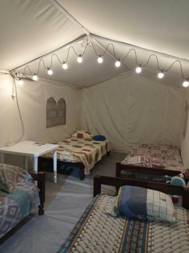Ecoglamping Caman�