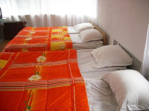 Hostal Salmina House