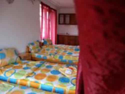 Hostal Salmina House