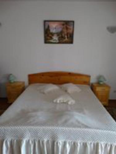 Hostal Salmina House