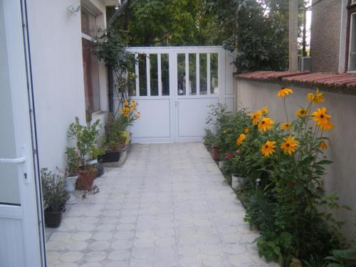 Hostal Salmina House