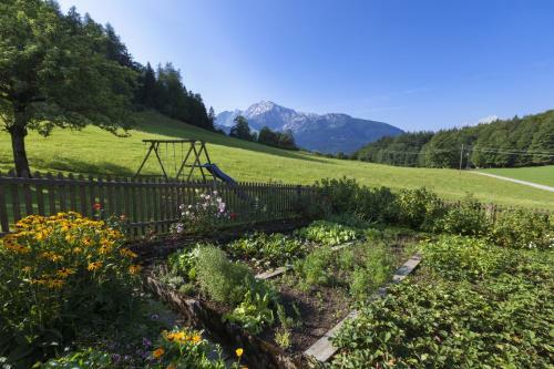 Apartamento Ferienwohnungen G�stehaus L�rcheck