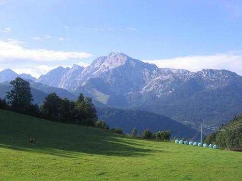 Apartamento Ferienwohnungen G�stehaus L�rcheck