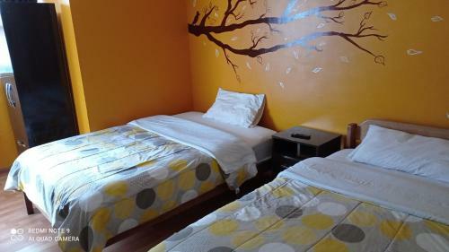 Cusco B&B