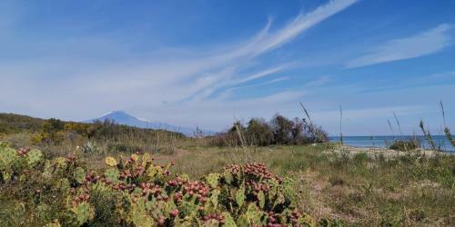 Apartamento Seaside Village Catania