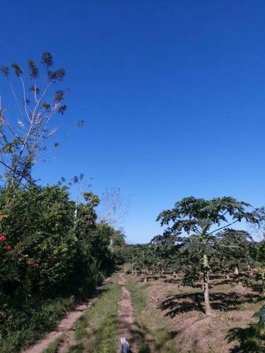 Casa De Campo En La Fortuna