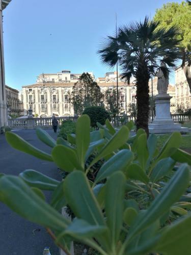 Apartamento Giovanni S Little House