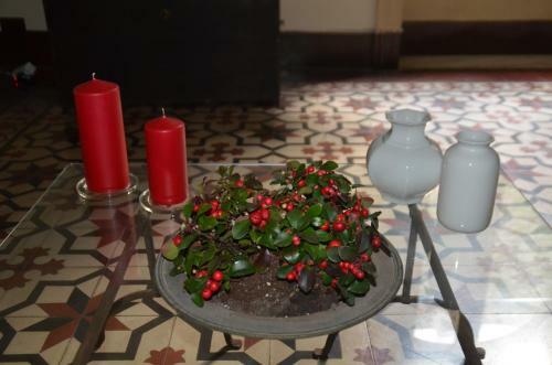 Il Giardino Di Caronda