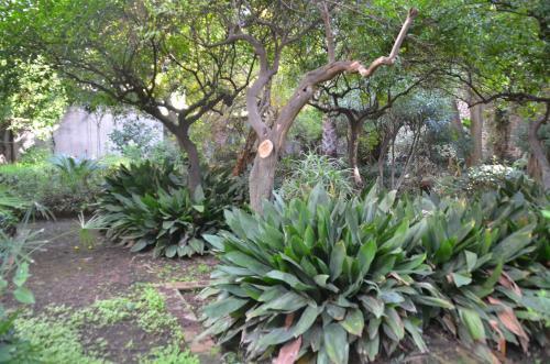 Il Giardino Di Caronda