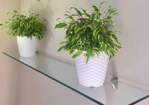 Apartamento Loft Duca Di.....