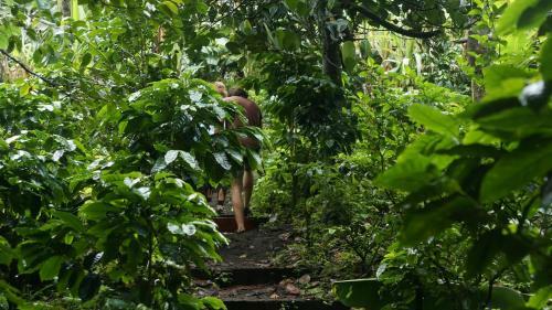 Hostal Monte Santo Y Caf�