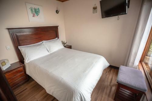 Apartamento Flower?s Paradise Monteverde