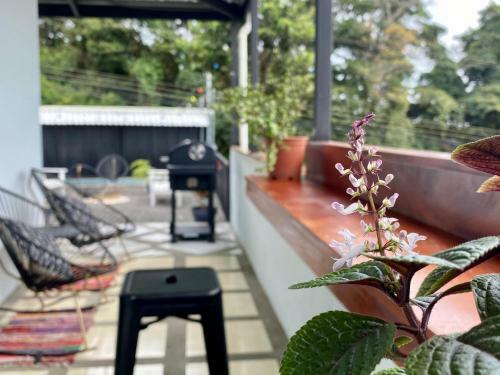 La Picuya Mountain Retreat In Monteverde Cr