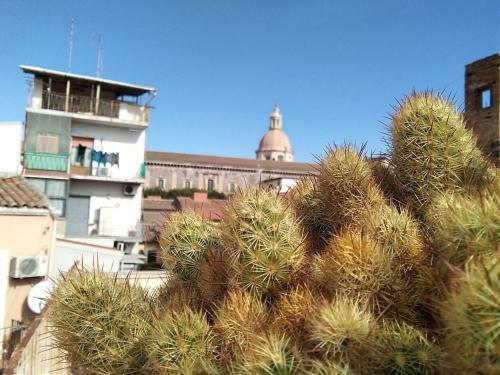 Apartamento Casa Romans, Via Della Palma, 63