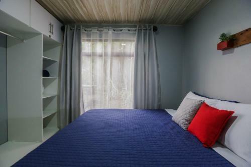 Apartamento Casa Suculenta