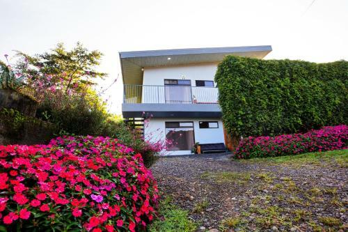 Apartamento Casa Suculenta
