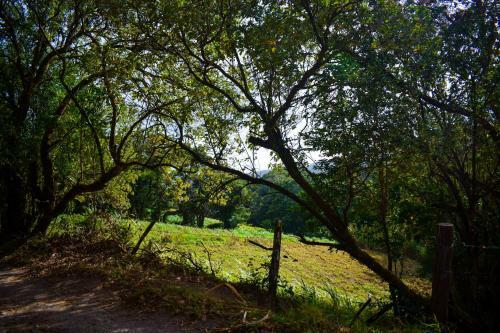 Agroturismo Caba�as Lys