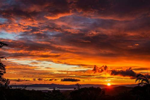 Sunset Apartments Monteverde