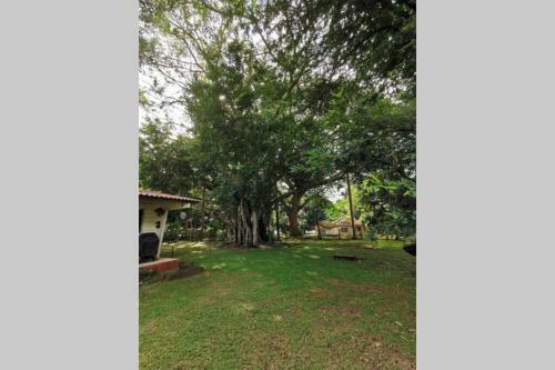 Gorgona Peaceful House