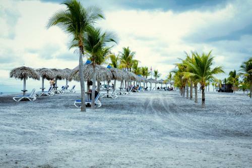 Aparta-studio Abby Tourism Playa Blanca