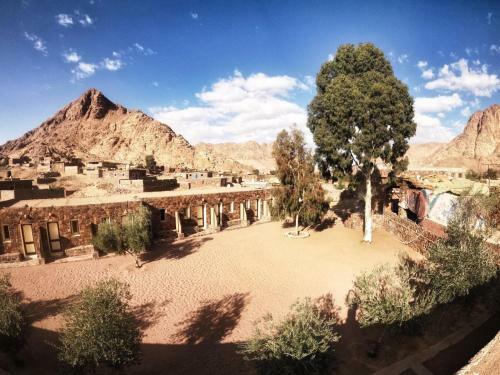 Hotel Sheikh Mousa Bedouin Camp