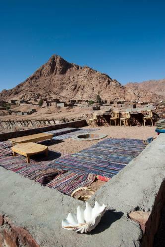 Hotel Sheikh Mousa Bedouin Camp