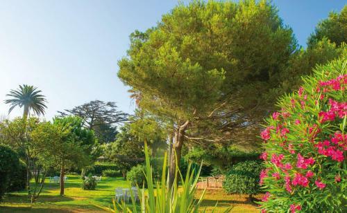 Vvf Villages � Golfe de Saint-tropez � Sainte-maxime