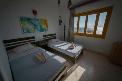 Bamboo House Hotel Dahab