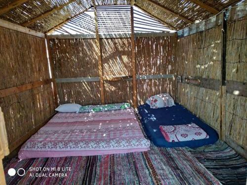 Hotel Diana Beach Camp