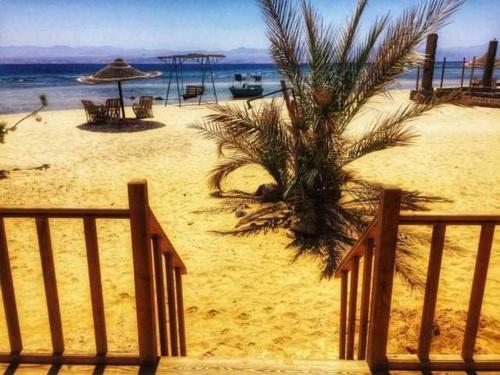 Hotel Diana Beach Camp