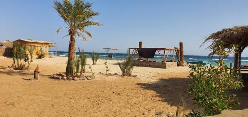 Hotel Diana Beach Camp
