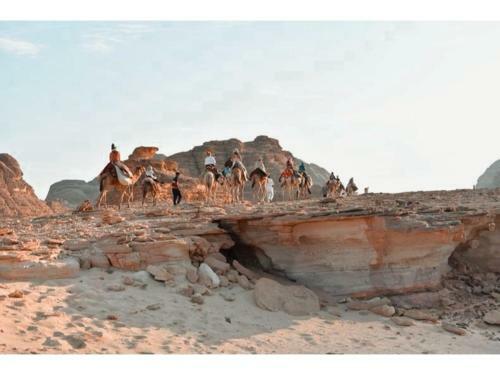 Live The Bedouinlife