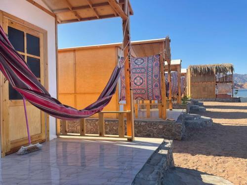Live The Bedouinlife