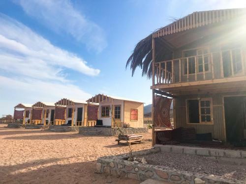 Live The Bedouinlife