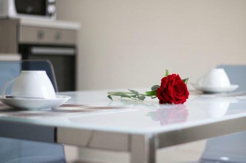 Romeo Luxury Apartment
