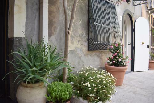 Camula Inn Apartament