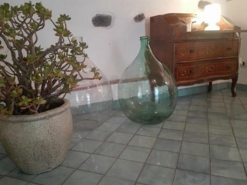 Apartamento Bouganville