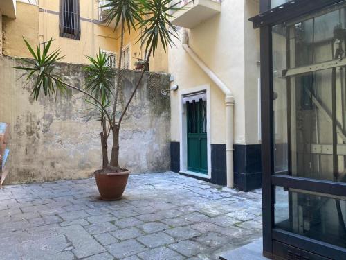 Apartamento Studio 177