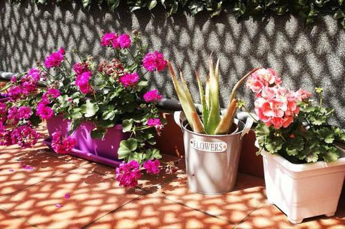 Apartamento Il Terrazzo Di Liol�