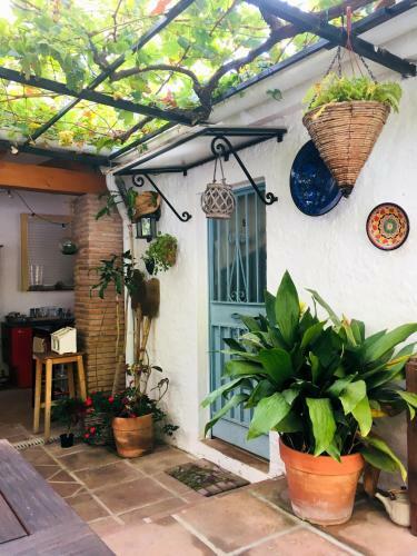 Bed & Breakfast At Home In Malaga