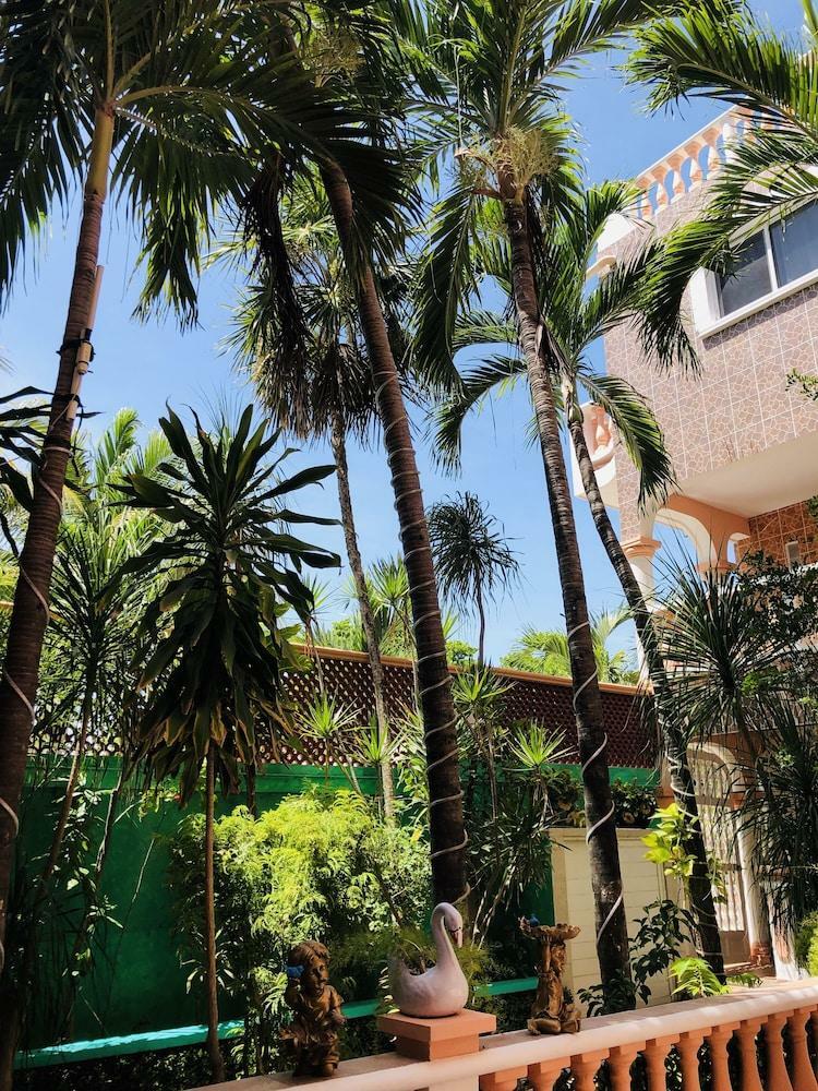 Hotel Francis Arlene