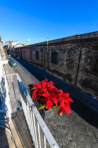 Bed & Breakfast Antica Catania Accomodation