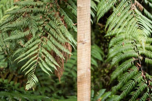 Lodge Punakaiki Treehouse