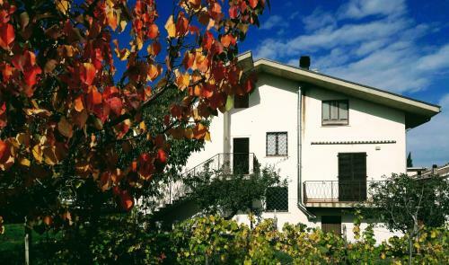 Bed & Breakfast Casa Ciuffina