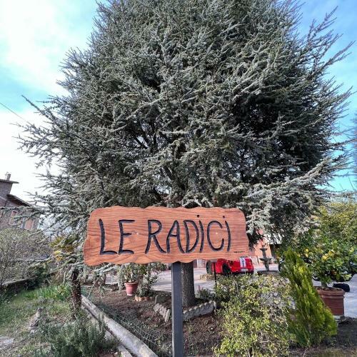 Le Radici